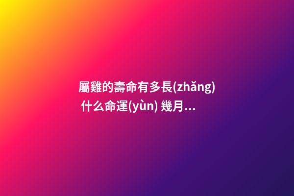 屬雞的壽命有多長(zhǎng) 什么命運(yùn) 幾月出生最好